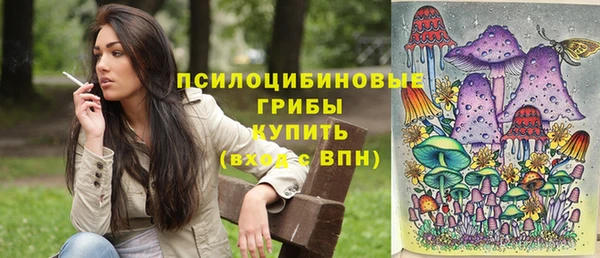 mdpv Майский