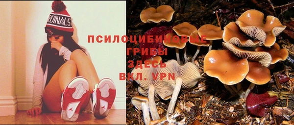мдма Магас