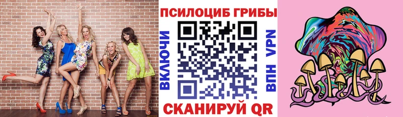 Псилоцибиновые грибы MAGIC MUSHROOMS  наркотики  Ртищево 