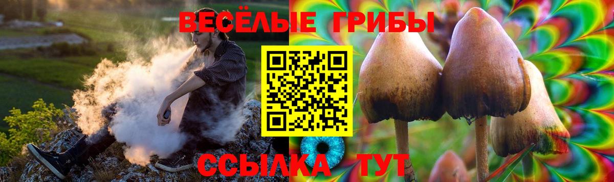 Псилоцибиновые грибы прущие грибы  Галлюциногенные грибы прущие грибы  Вход с VPN  Ртищево 