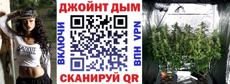 Марихуана SATIVA & INDICA  как найти закладки  Ртищево 
